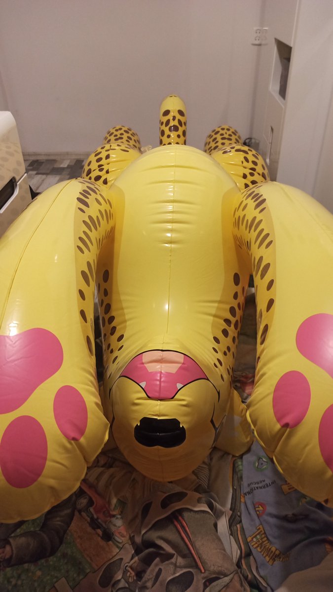 Someone wants to play here. Maybe some belly rubs? *meow* 😸

#iw #inflatable #inflatablecheetah #inflatableworld #squeaky