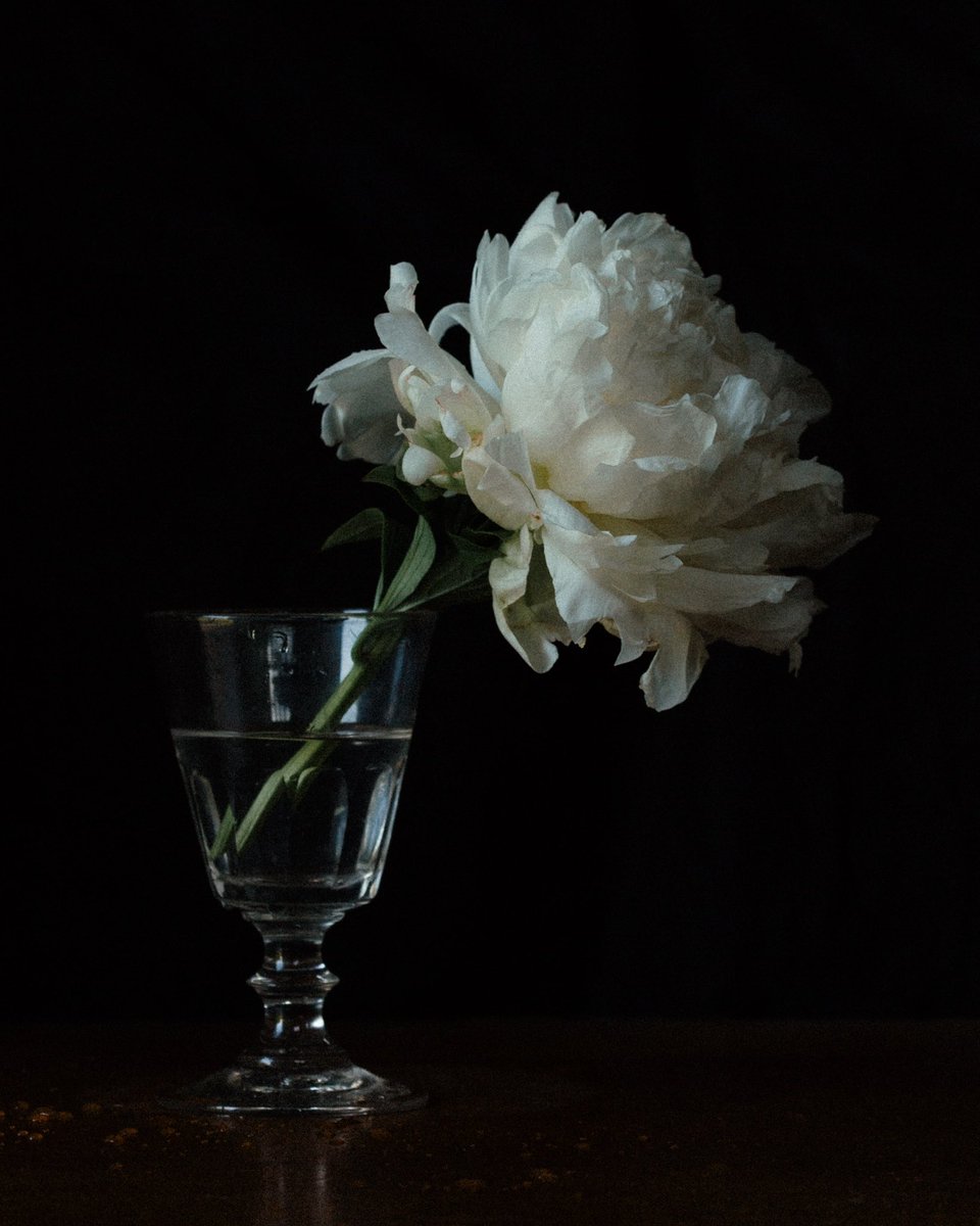 Still life Mondays, gm