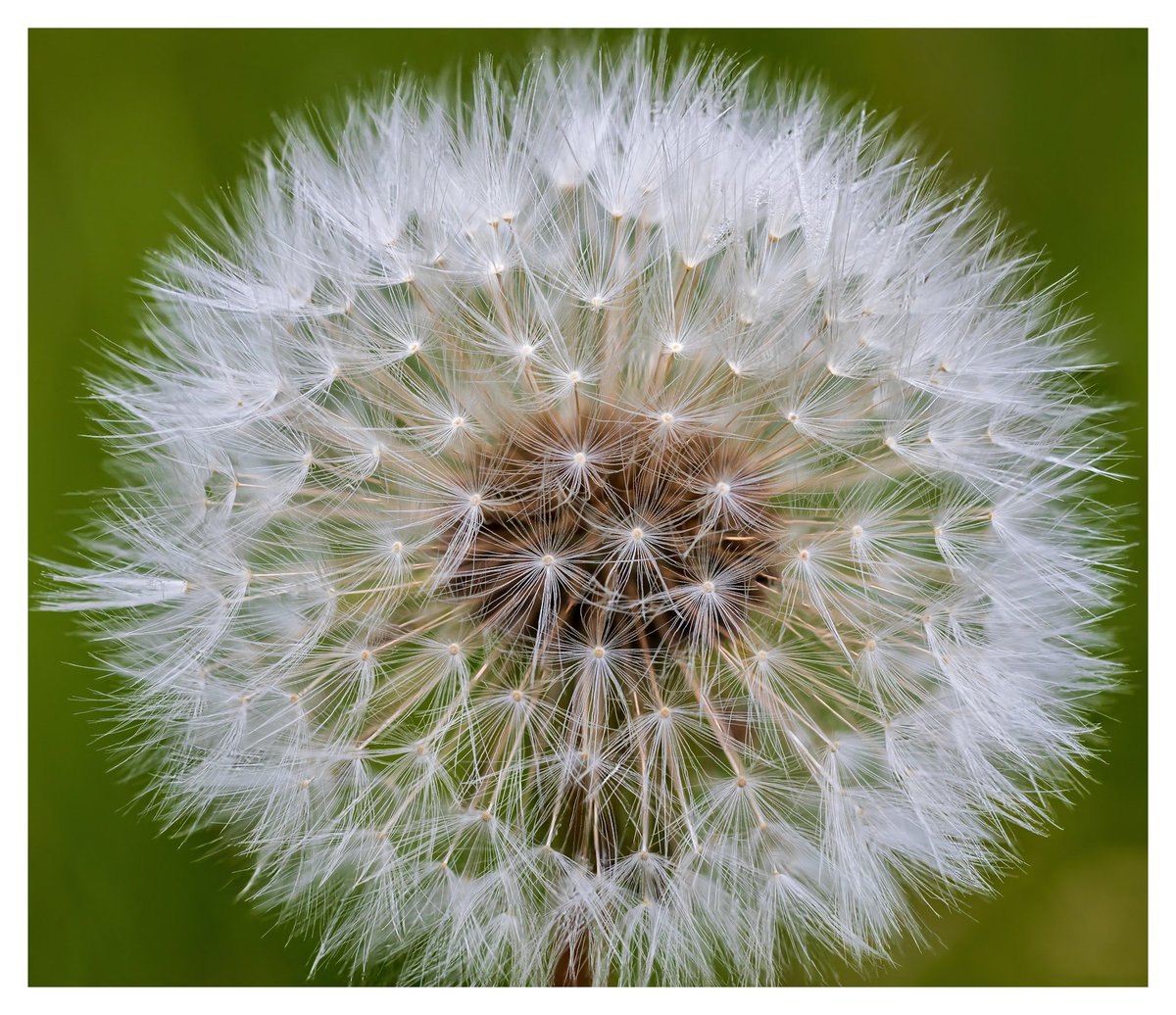 laffertyandy's tweet image. #MacroMonday