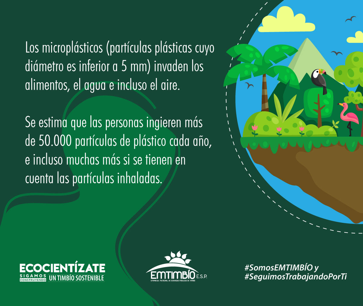 emtimbio's tweet photo. #DíaMundialDelMedioAmbiente 📷📷
El Día Mundial del Medio Ambiente es un recordatorio de que nuestras acciones tienen un impacto. Optemos por decisiones conscientes que preserven nuestro entorno natural.
#SomosEMTIMBÍO y #SeguimosTrabajandoPorTi https://t.co/326RaZUZEO