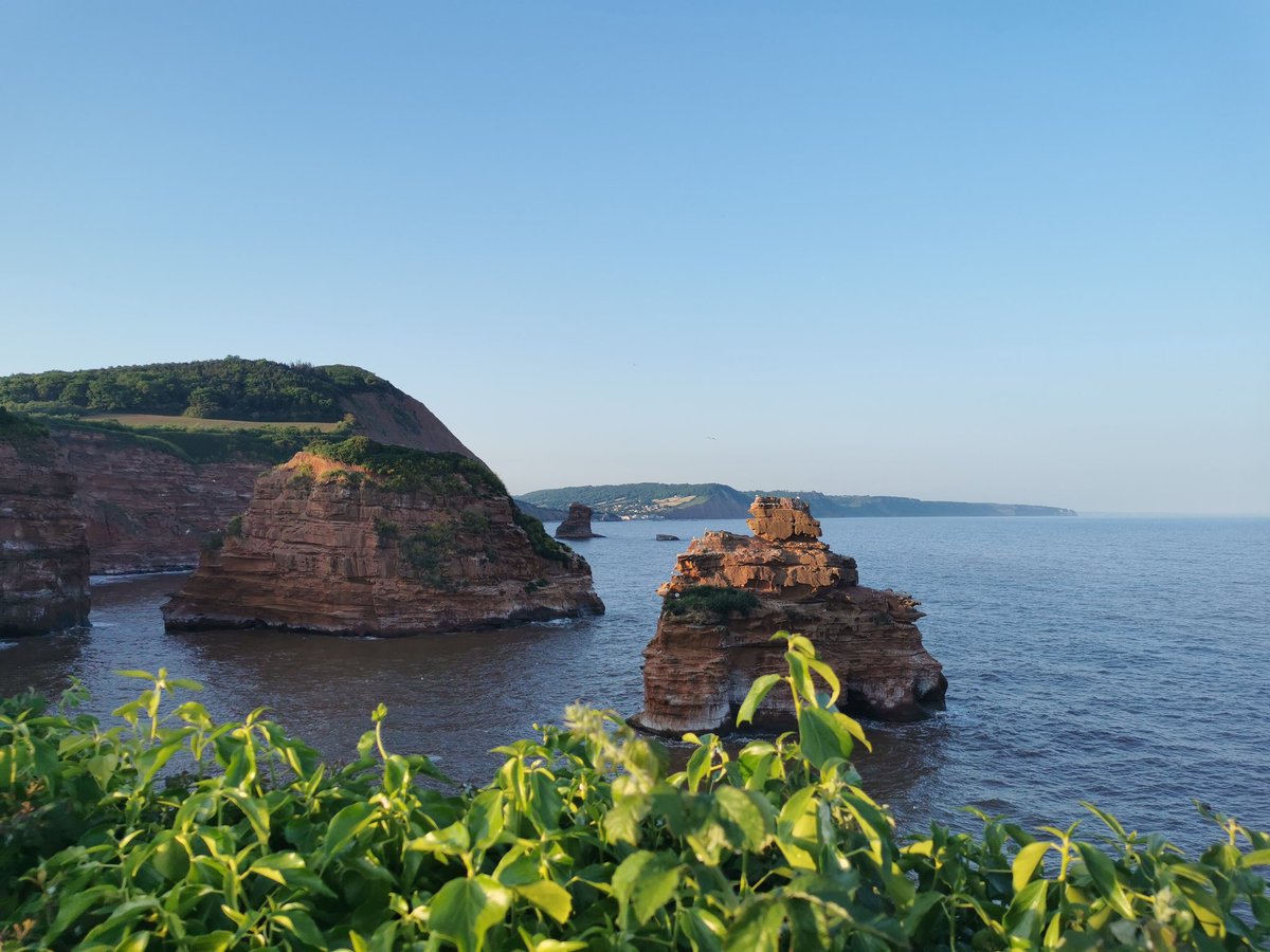 Lucy Ford tweet media