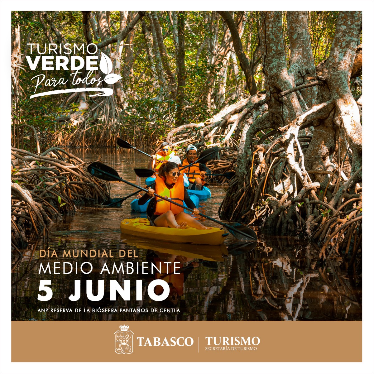 5 de junio | #DíaMundialDelMedioAmbiente 

#Tabasco cuenta con 15 #ÁreasNaturalesProtegidas, destacando la Reserva de la Biósfera Pantanos de #Centla, Boca del Cerro en #Tenosique y el Parque Estatal Sierra en #Teapa y #Tacotalpa 

#TabascoMemorable #ExperienciasMemorables