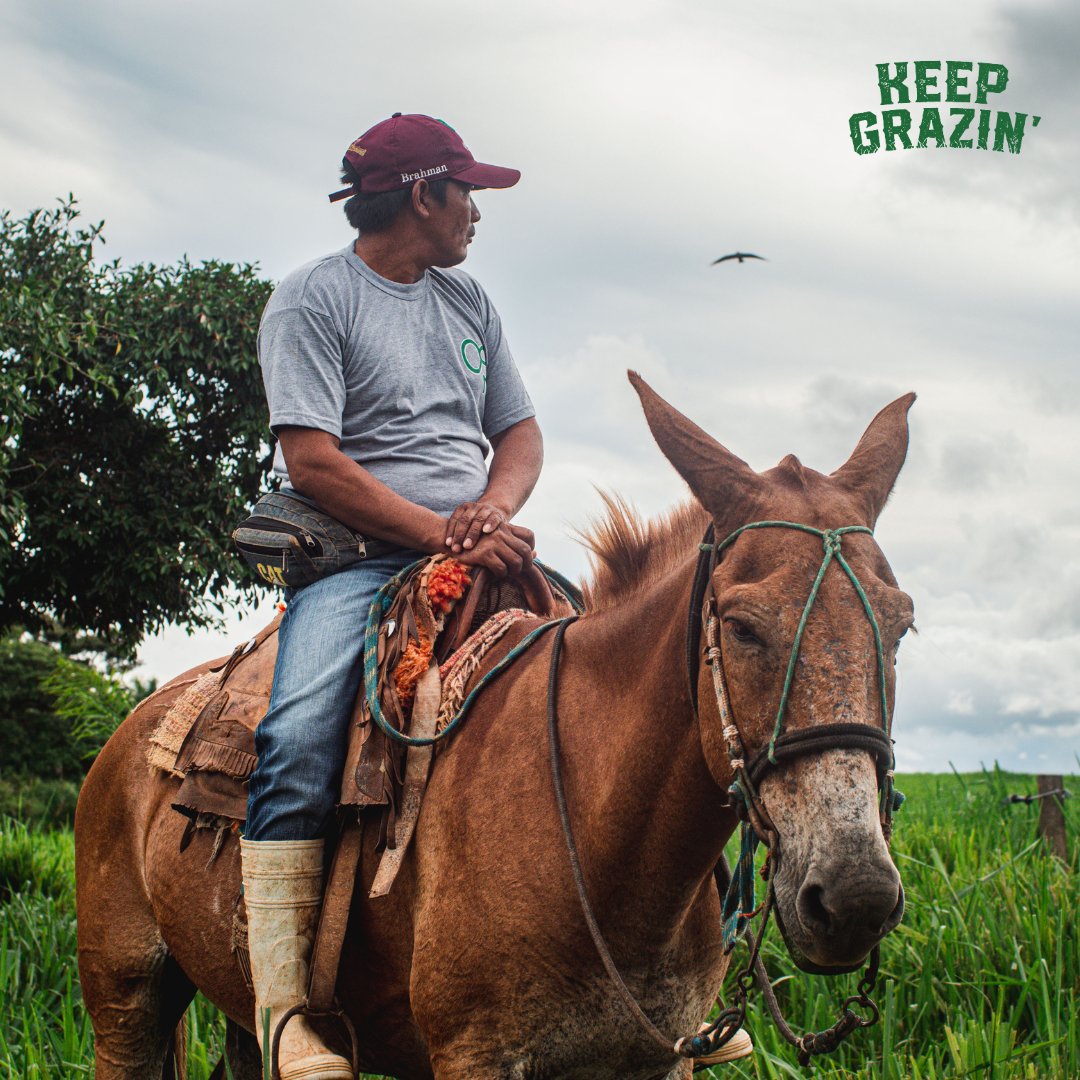 KGrazin's tweet photo. We're a small family business with a big-hearted mission. Better cheese made in a better way ensures humane treatment of animals, natural regenerative practices, and a better product. The unique taste in every Keep Grazin’ bite is the result of hard work and a lot of love ❤️ https://t.co/7ZFUdm6urW