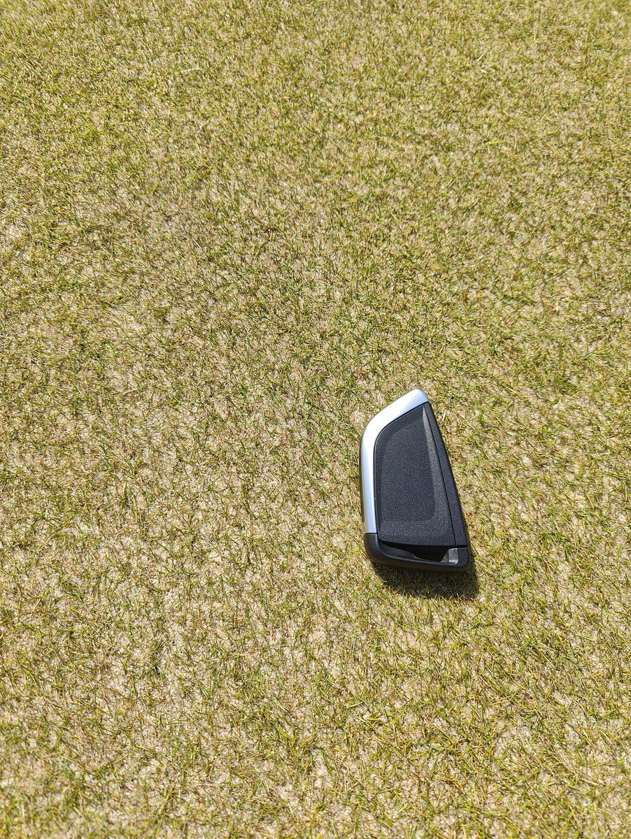 armadilloen's tweet photo. My turf group went to Sweden for what now looks more like a sustainability summit. Groups from Germany, Netherlands and Sweden met to talk low input management, dollarspot + fuzz, no pesticides, but plenty of bio diversity. Deep Dive into MLFE! Whats that @asianturfgrass ? https://t.co/AnwsQ1Lmtx
