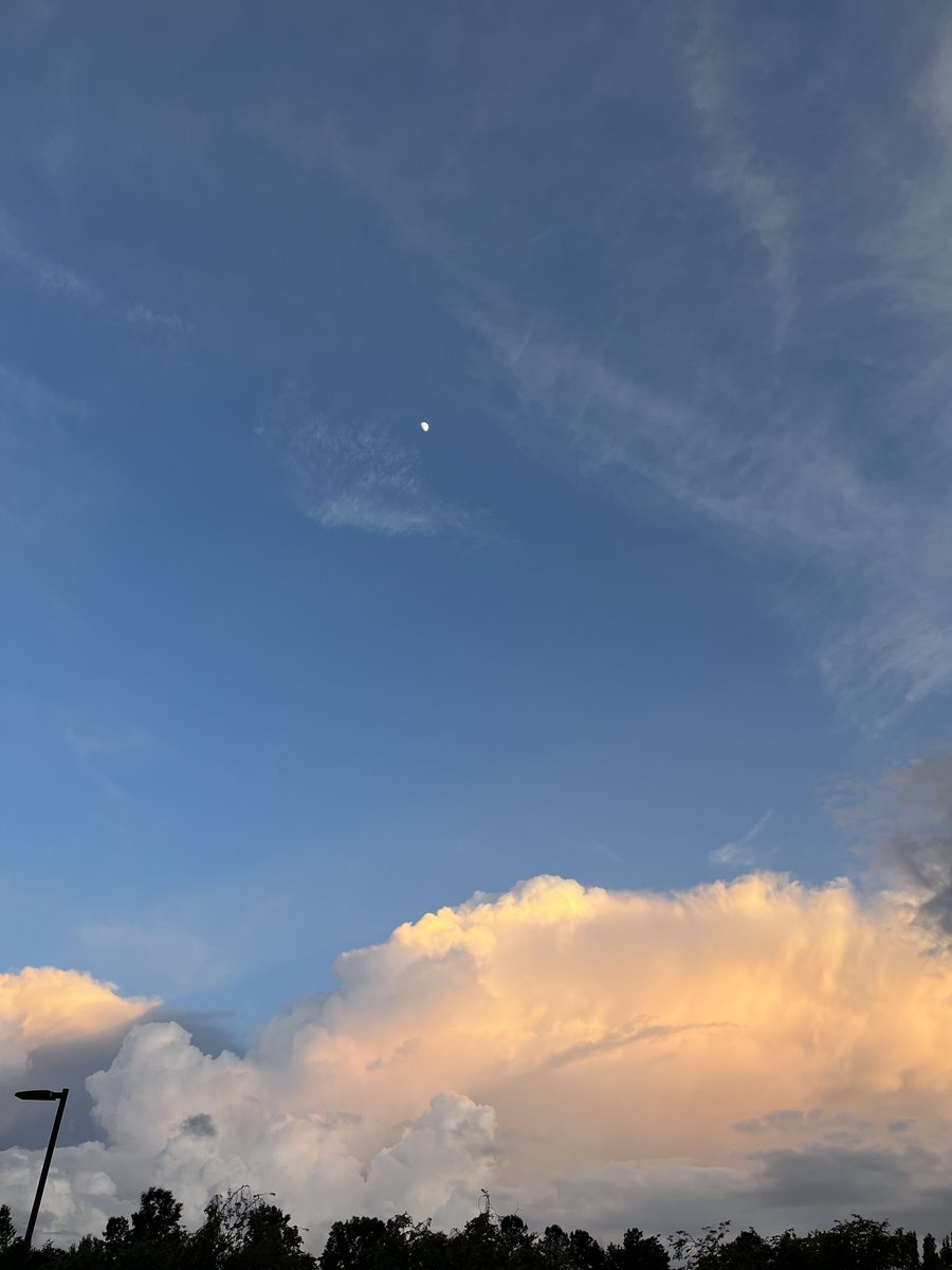 🌿BadGyalGoodLife🌿 on Twitter: "I’ve been intimidated by Lightroom for