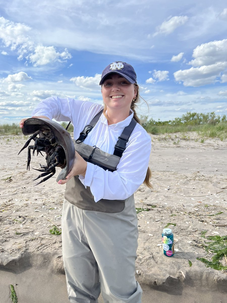 BiologistBecca's tweet image. Hey y’all! I'm Becca, a recent graduate from Saint Mary's College. I'm interested in marine movement ecology, specifically in the context of sustainable development of fisheries. I plan on attending grad school in the future so follow along to see my journey!