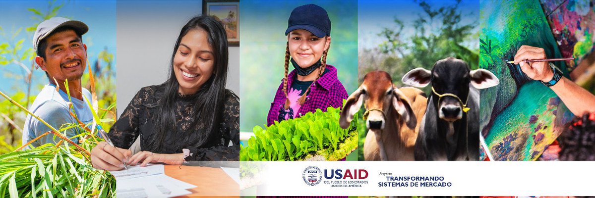 Estimados Colegas, los invito a seguir las buenas noticas del Proyecto Transformando Sistemas de Mercado de USAID/Honduras @TMSHonduras qr.link/cp6y3l