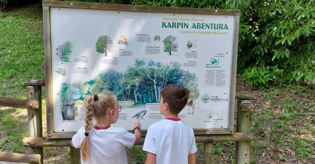 mertzedeikas's tweet photo. Nazioarteko ingurumen eguna.
🌏Ingurumena zaintzearen aldeko ekimenak egiten jarraitzen dugu eskolan. Karpin faunaren babes zentroan izan gara.

🌍Seguimos llevando a cabo iniciativas a favor del cuidado del medio ambiente en la escuela. https://t.co/bkDqB9gEqX