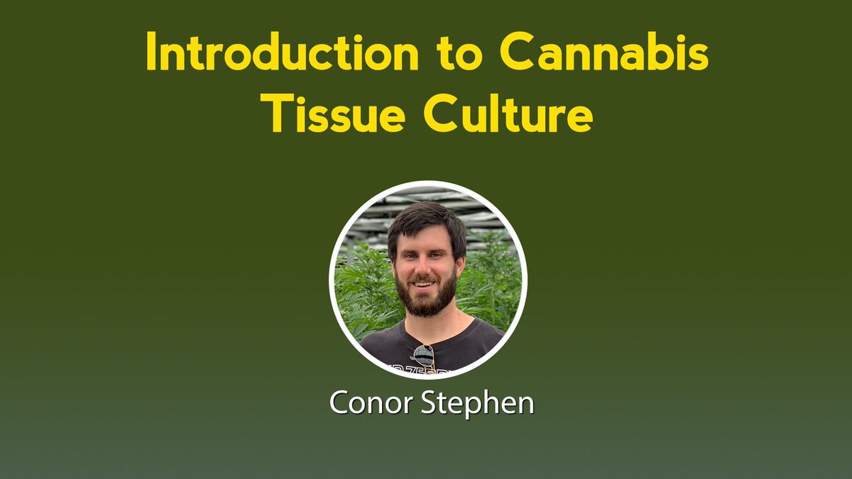 Future Cannabis Project tweet media