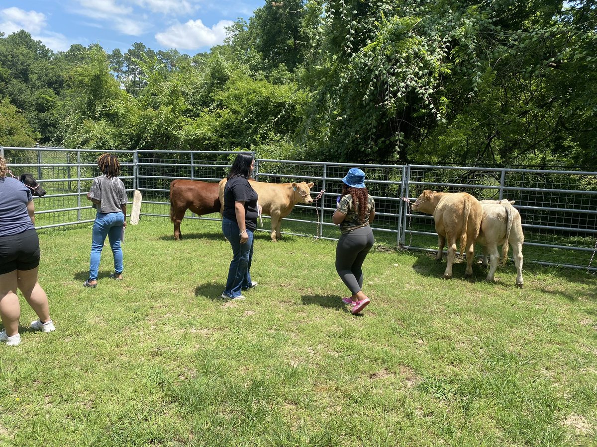 MacArthur FFA tweet media