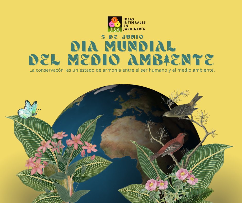 jisajardineria's tweet image. 🟡Tiene como finalidad sensibilizar a la población mundial acerca de la importancia de cuidar nuestros ecosistemas y fomentar el respeto al medio ambiente. 🌻🌎🌳
#plantas #naturaleza #planetaverde #jardineria
🟡Síguenos también en:
instagram.com/jisa.jardines/
JISAJARDINES.COM.MX