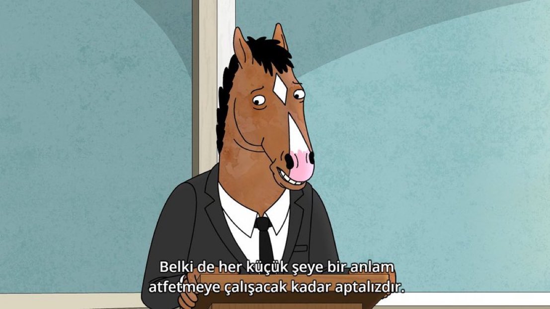 ''Belki de her küçük şeye bir anlam atfetmeye çalışacak kadar aptalızdır.'' 

(BoJack Horseman)