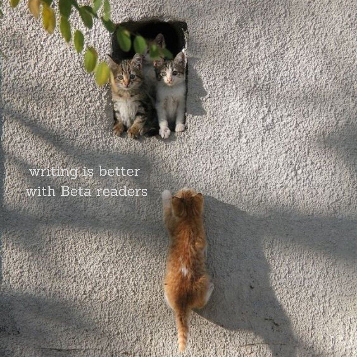 editoutloud's tweet photo. Climbing the walls? Writing is better together with #BetaReaders π We have pages of authors seeking feedback @EditOutLoud π¬ Check out #BetaReaderExchange page @Facebook Try the app and edit from anywhere! https://t.co/trpsakM6MF
#Writers #AmWriting #AmEditing βοΈ https://t.co/xhxbElklFM