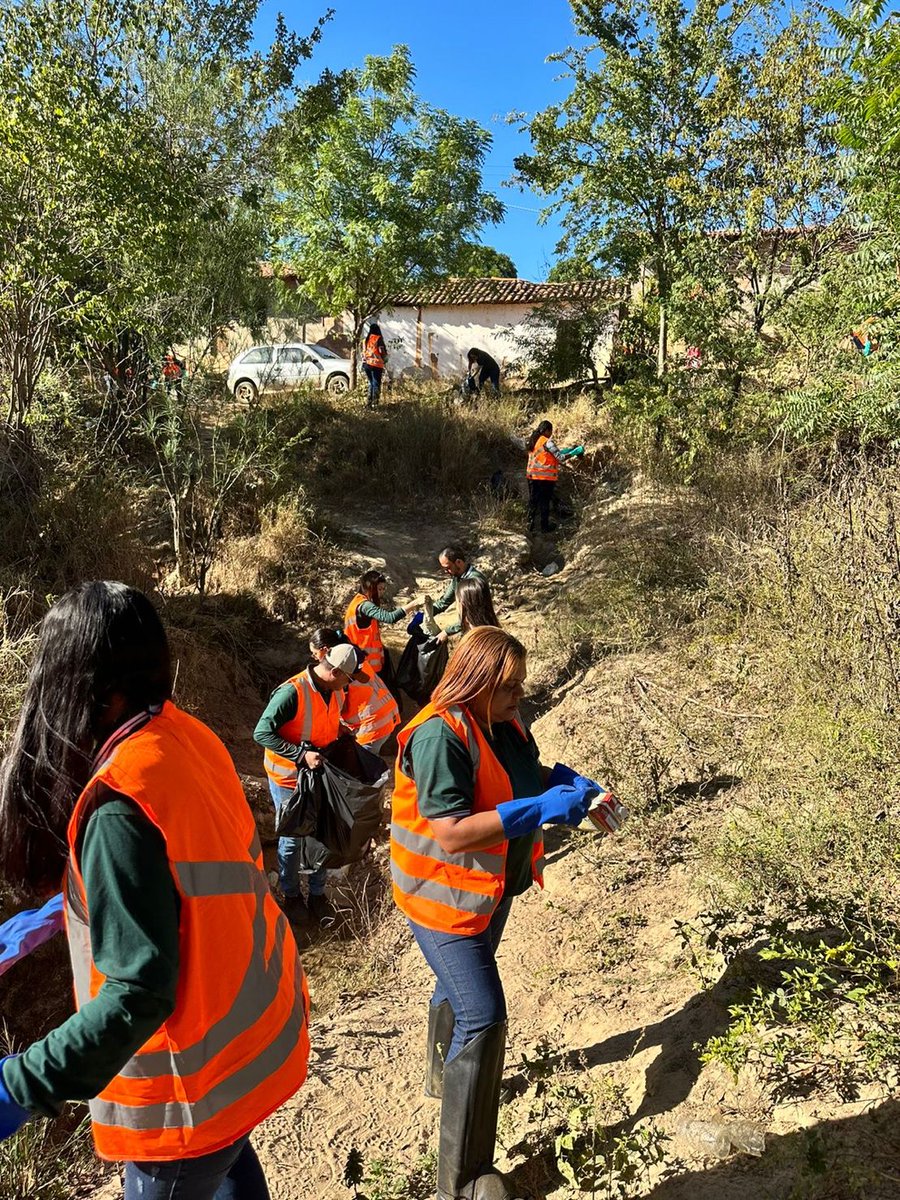 SigmaLithium's tweet image. Today for #WorldEnvironmentDay, the #SigmaLithium team joined together with our neighboring communities for the &quot;clean the Piauí initiative.” We collected garbage from the banks of Ribeirão Piauí and distributed tree seeds for reforestation. 🌳🌳🌳 #Sustainability
