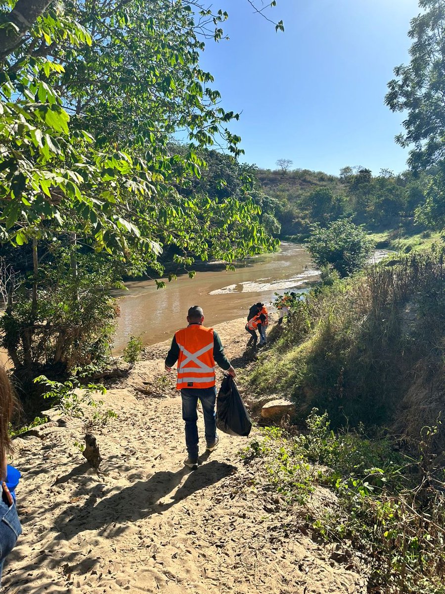 SigmaLithium's tweet image. Today for #WorldEnvironmentDay, the #SigmaLithium team joined together with our neighboring communities for the &quot;clean the Piauí initiative.” We collected garbage from the banks of Ribeirão Piauí and distributed tree seeds for reforestation. 🌳🌳🌳 #Sustainability