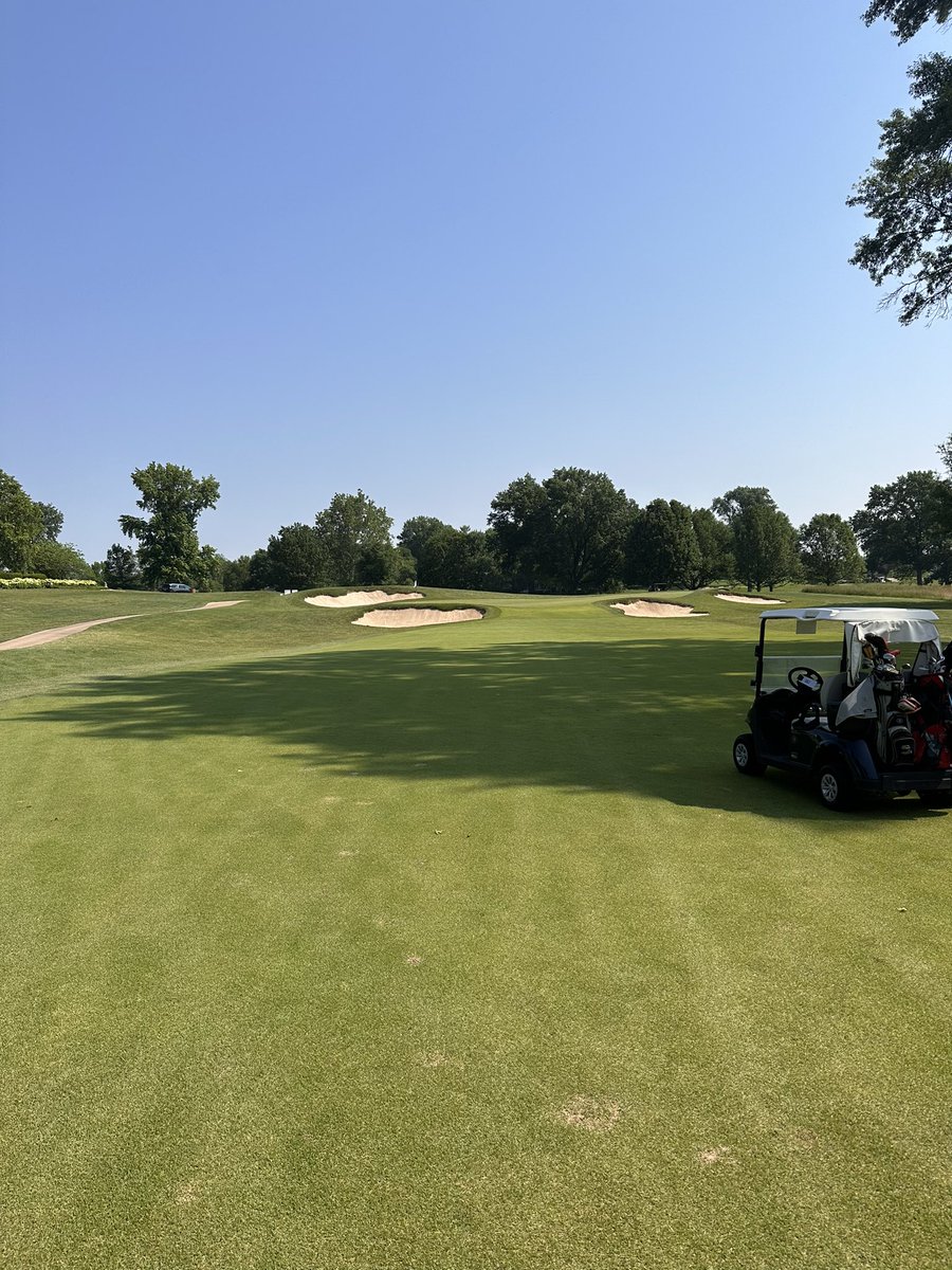 Taylor Olson tweet media