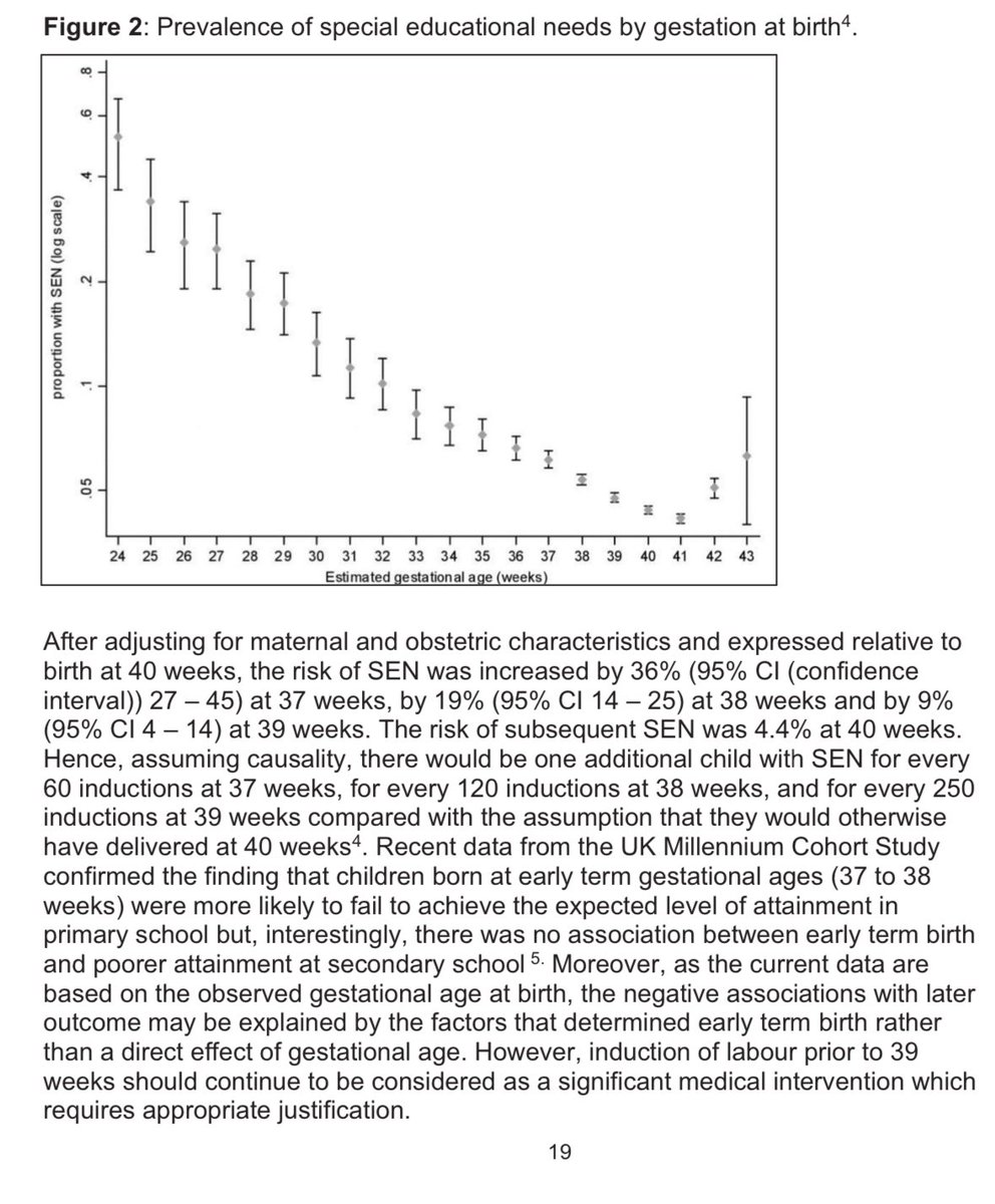 Hadi Waheed tweet media