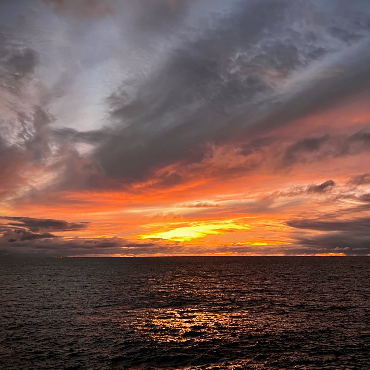 Prof Emma L Johnston AO FAA FTSE (@dremmaljohnston) on Twitter photo Horizons.
Did I mention our new fellowship scheme? 40x new continuing academic positions <a href="/Sydney_Uni/">University of Sydney</a> for #EMCRs Please RT. #climate #health #sustainability
#Sydney #coast
sydneyuni.co/3MJYC1U Horizons.
Did I mention our new fellowship scheme? 40x new continuing academic positions <a href="/Sydney_Uni/">University of Sydney</a> for #EMCRs Please RT. #climate #health #sustainability
#Sydney #coast
sydneyuni.co/3MJYC1U
