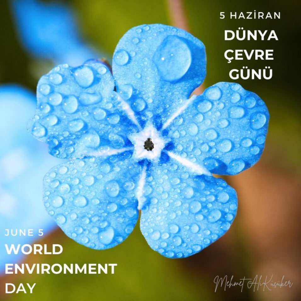 5 Haziran Dünya Çevre Günü Kutlu Olsun!
Wishing You a Very Happy World Environment Day!
#DünyaÇevreGünü2022 #WorldEnvironmentDay2022