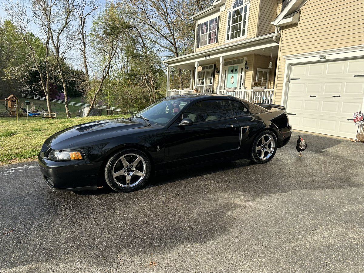 JSIMPS827's tweet photo. @Agony 03 Terminator it was my best friends in high school unfortunately he died from complications with leukemia and his brother finally sold it to me 6 years later https://t.co/A4kaxYtXAs