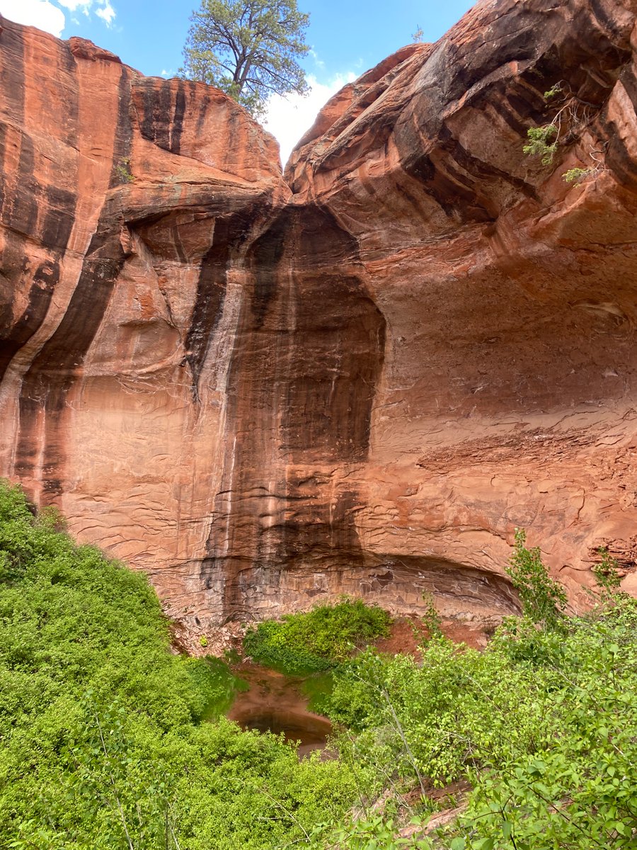 Harpo Faust tweet media