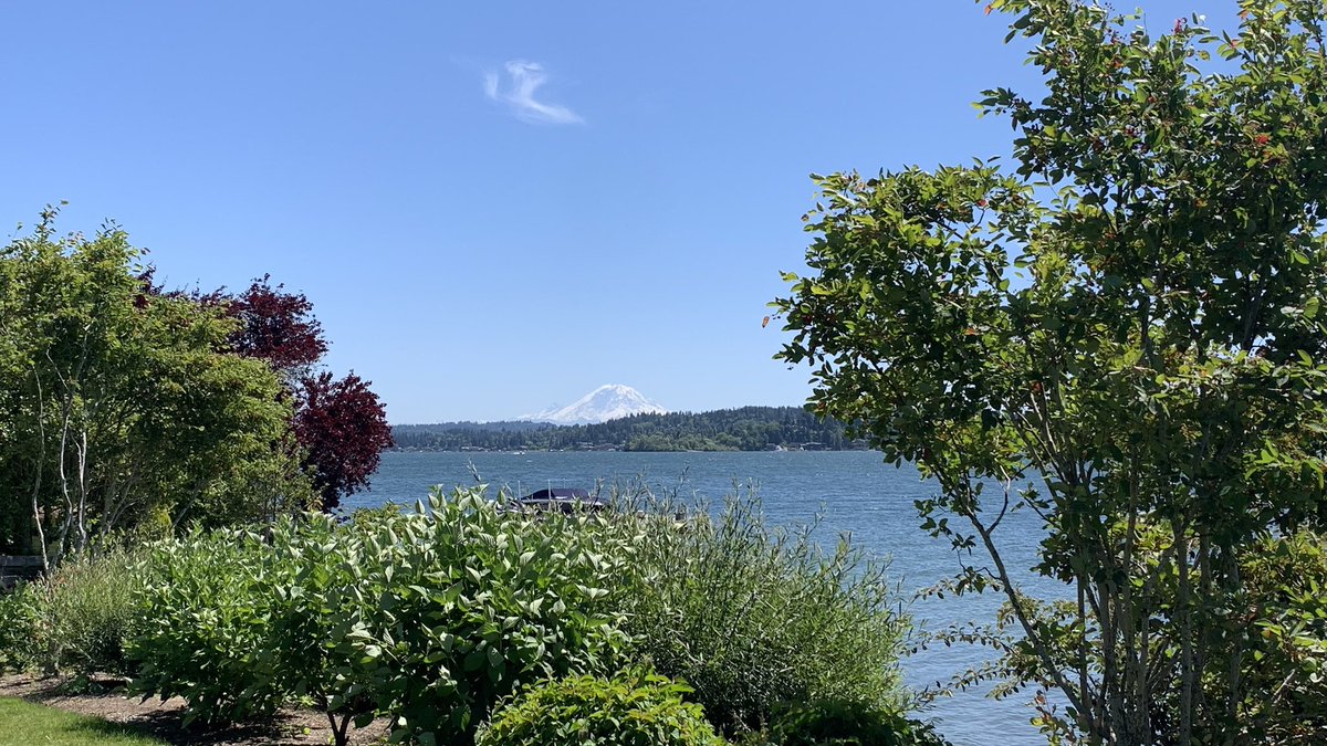 m3sweatt's tweet image. My office today for conference calls and meetings. 
Post #MicrosoftLife