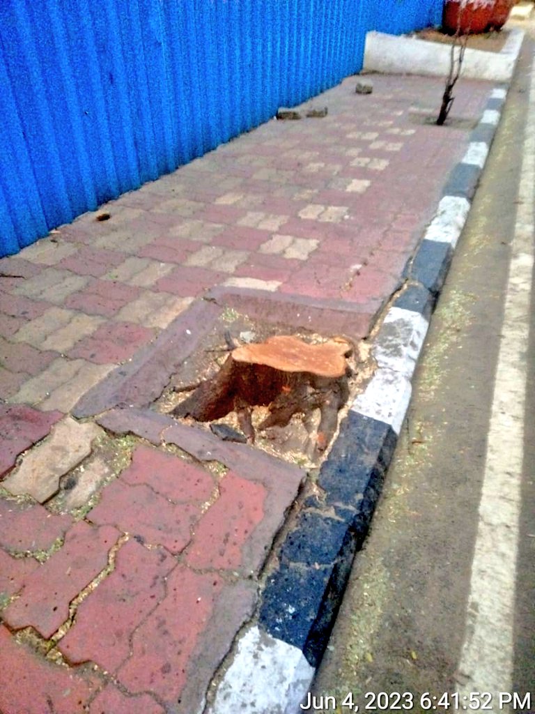 Vinay Vangala tweet media