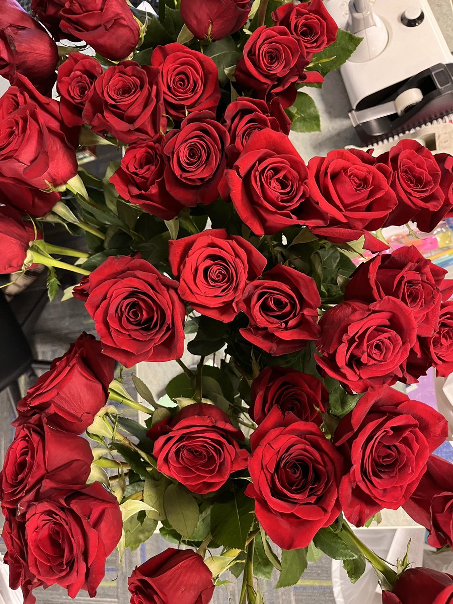 Look at what my kids (and my darling teammate <a href="/MsLeonNoviWoods/">Marietta Leon</a>) did for my 50th birthday!! #soblessed  #bestteammateever