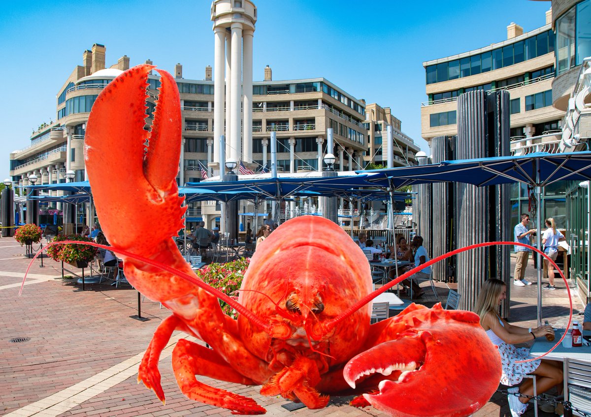 Every Monday 🦞+🍺=$30 at the bar!