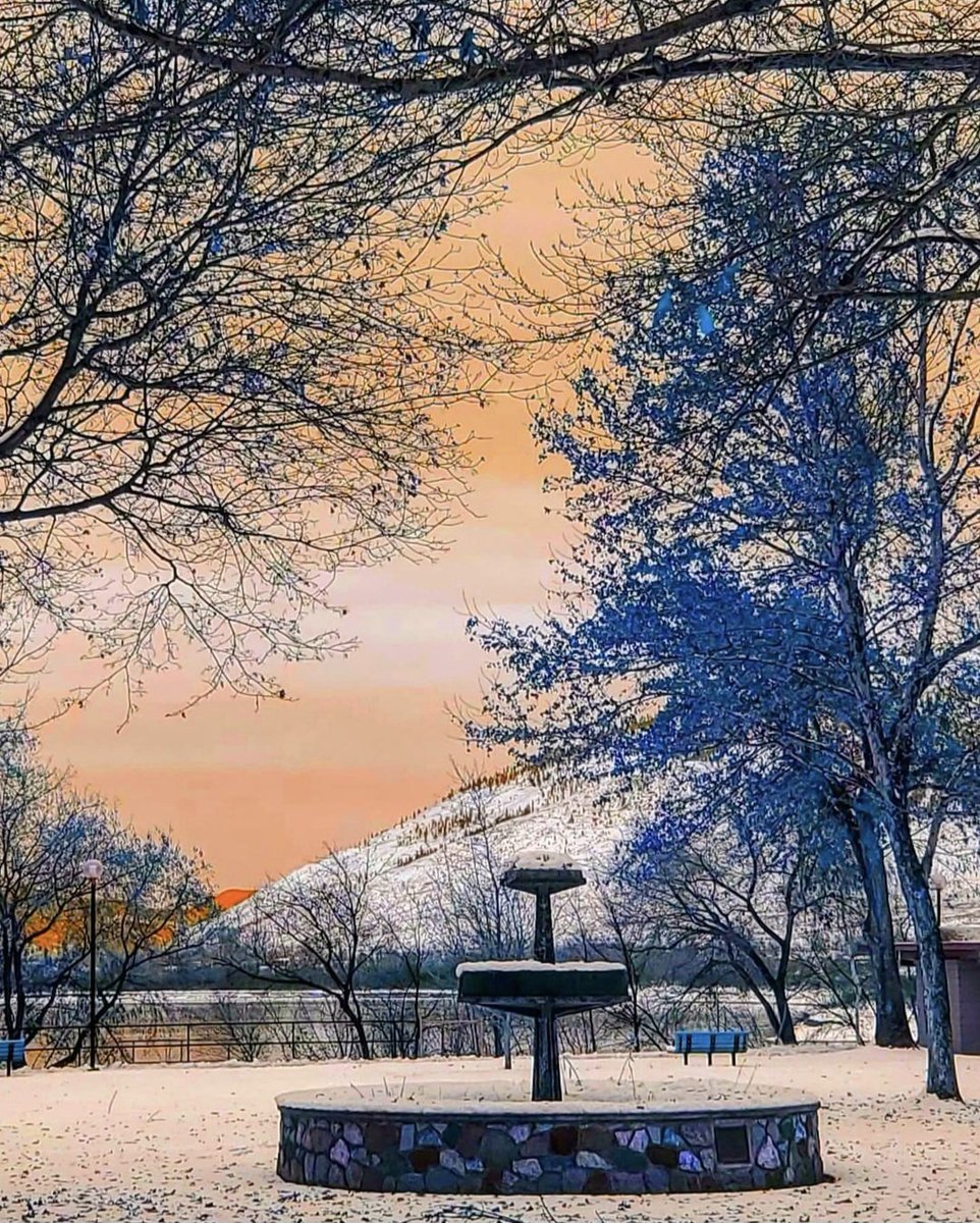 FloralBoom's tweet image. 📸 #colorisolation #ExperimentalPhoto #ShadowsReflects #Floralboom #photographylovers