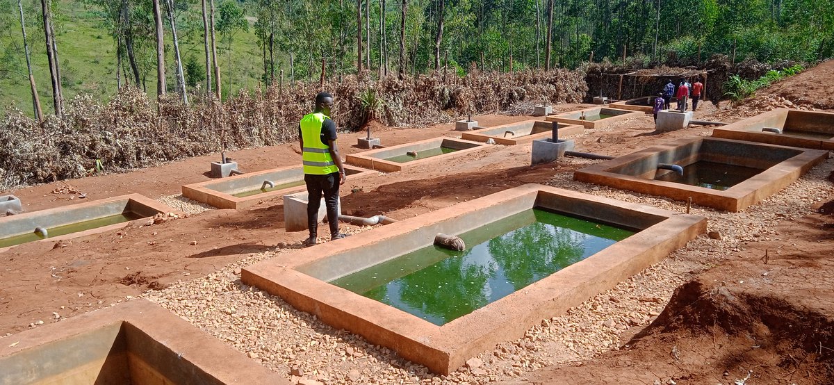 Arleneantoine14's tweet photo. Le Directeur Technique Terry Nishimwe de l'entreprise SEFACO fait la visite des terrains à Mwaro pour l'installation d'un Étang hors sol
Il a vu des activités intéressantes lors de cette visite

SEFACO compte commencer la consultance des projets dans la Pisciculture

#Burundi https://t.co/SDWwLSX0w8