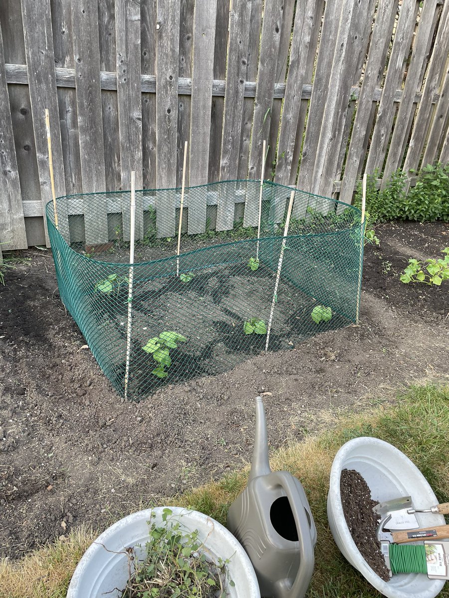 Effie Koliopoulos tweet media