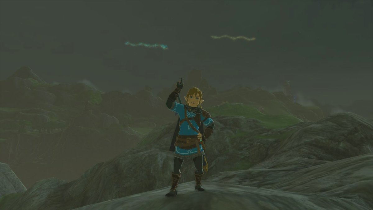 vitadacani's tweet photo. #TearsOfTheKingdom #Zelda #NintendoSwitch https://t.co/gDcMxJDBsF