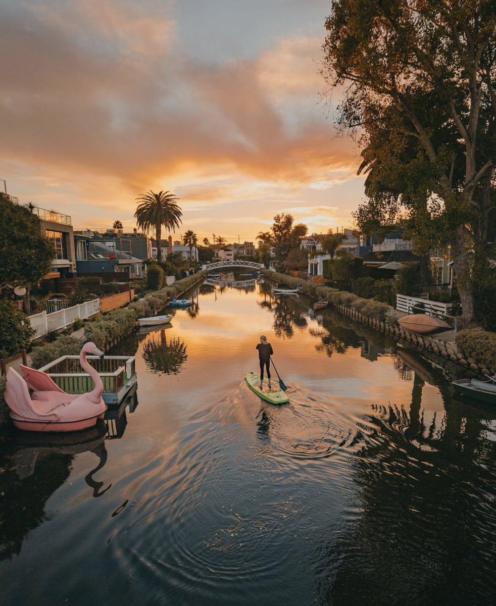 If you need us, we'll be here. 🌅 #discoverLA #MagicHour 📸: @adam_ali91