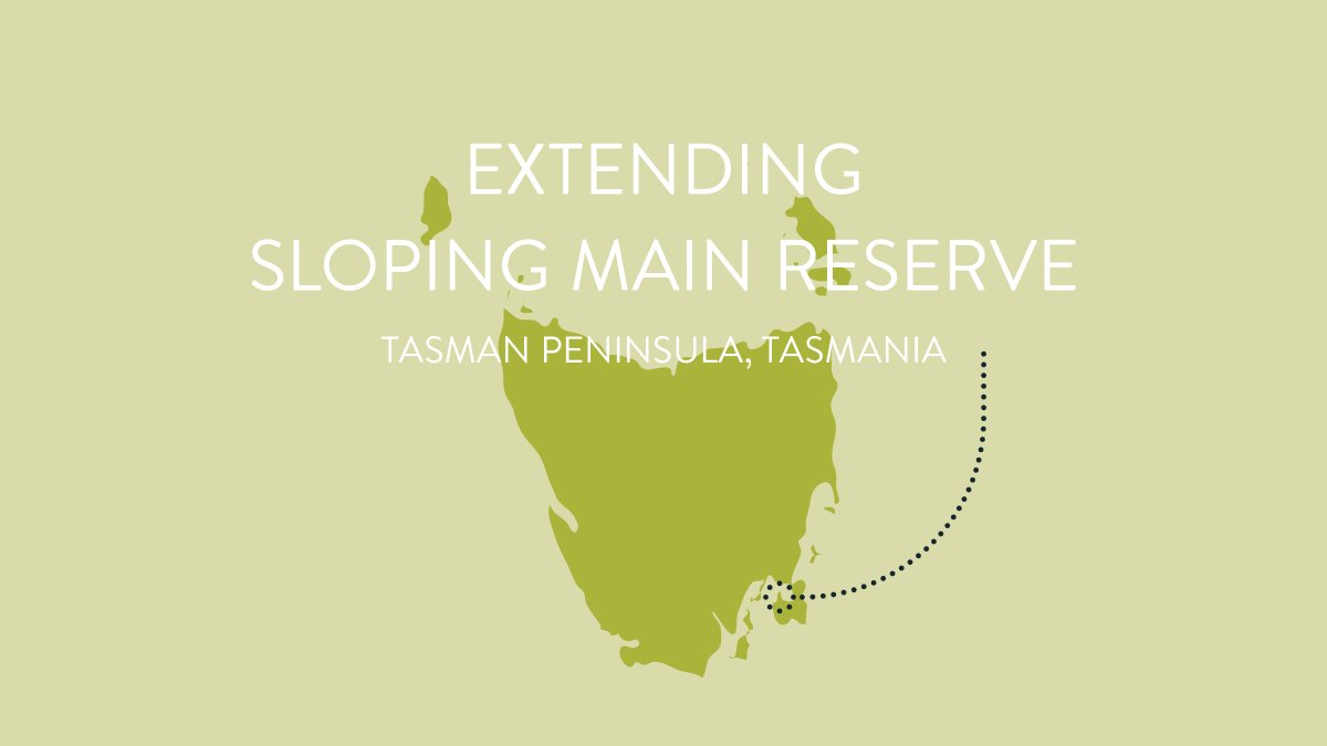 Tas_Land's tweet photo. This tranquil corner of Tasmania is critical for the wildlife that depend on it. Thanks to all those who have so far supported this spectacular ecosystem! https://t.co/CqLGnzC3Mu
#privatelandconservation #saltmarsh #wetlands #tasmanpeninsula #discovertasmania #slopingmain https://t.co/WYJulbExXt