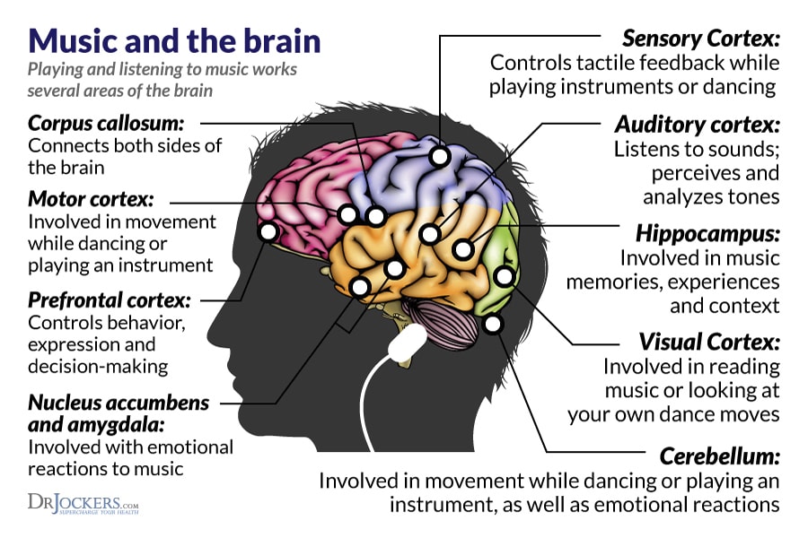 Fun music fact of the day, 
Music can heal the brain, music therapists use a style of singing with certain rhythms that can help bring back the cadence of speech.
#Science #musictherepy #music