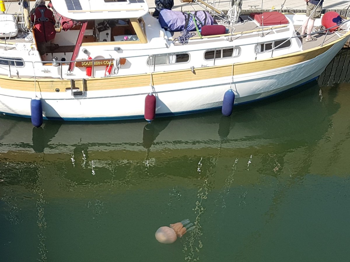 Brian Ritson tweet media