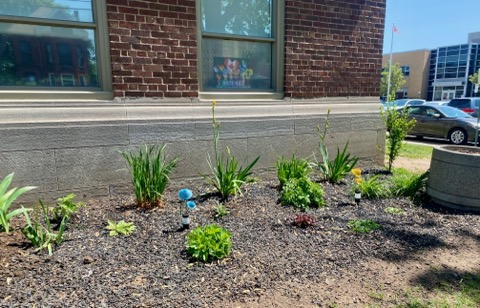 Last week staff kicked off #PrideMonth celebrations by reaffirming their positive, safe space by decorating with more flags, artwork, history displays, and encouraging messages 🏳‍🌈♥
Work has also been underway to clean up and cultivate the Willow's Place #MemorialGarden 🌱🌷