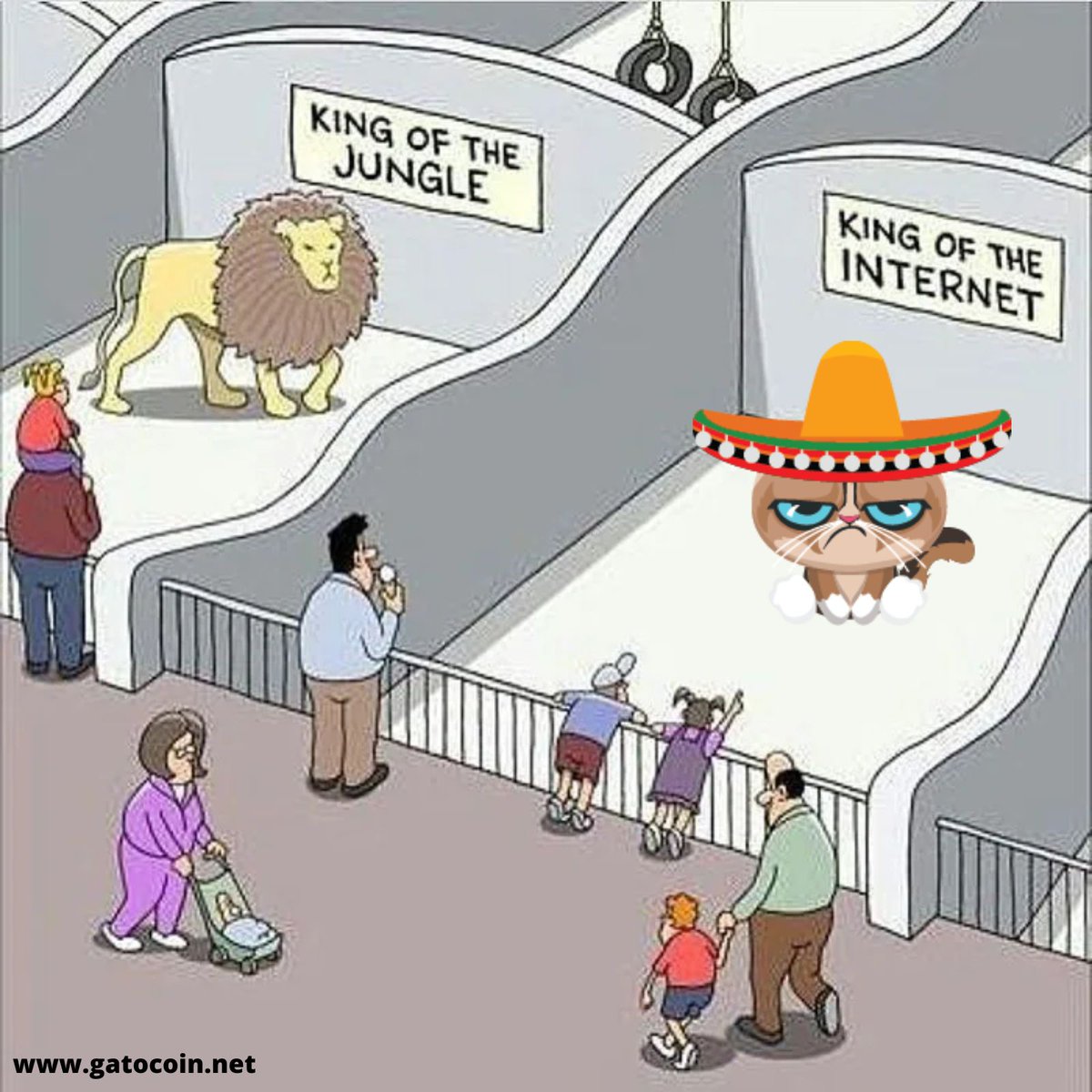 Gato tweet media