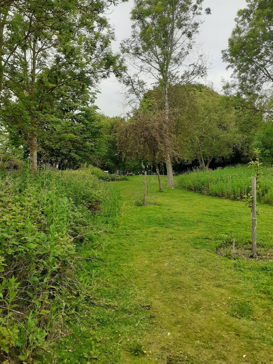 JaneMac (@janemac) on Twitter photo Well kept secret at Foxton Locks: the tranquil orchard and picnic area with rare species of apple trees. So peaceful! <a href="/CRTEastMidlands/">Canal & River Trust East Midlands</a> <a href="/CanalRiverTrust/">Canal & River Trust</a> #MarketHarborough #foxtonlocks Well kept secret at Foxton Locks: the tranquil orchard and picnic area with rare species of apple trees. So peaceful! <a href="/CRTEastMidlands/">Canal & River Trust East Midlands</a> <a href="/CanalRiverTrust/">Canal & River Trust</a> #MarketHarborough #foxtonlocks