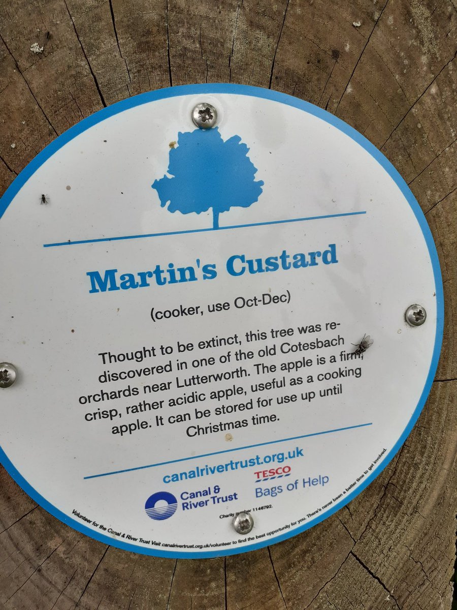 janemac's tweet photo. Well kept secret at Foxton Locks: the tranquil orchard and picnic area with rare species of apple trees. So peaceful! @CRTEastMidlands @CanalRiverTrust #MarketHarborough #foxtonlocks https://t.co/l4q4EhmOFA