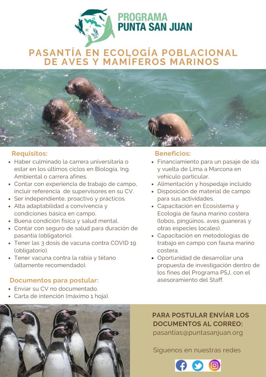 🎉🌊 *CONVOCATORIA* para nuestro Programa de Pasantías - Invierno 2023 en "ECOLOGÍA POBLACIONAL DE AVES Y MAMÍFEROS MARINOS" 🐧🦭🐋🐦
✨ No te pierdas esta oportunidad! Postula y sé parte del #ProgramaPSJ 💙
✅ Todos los detalles de cómo aplicar en los afiches 👇