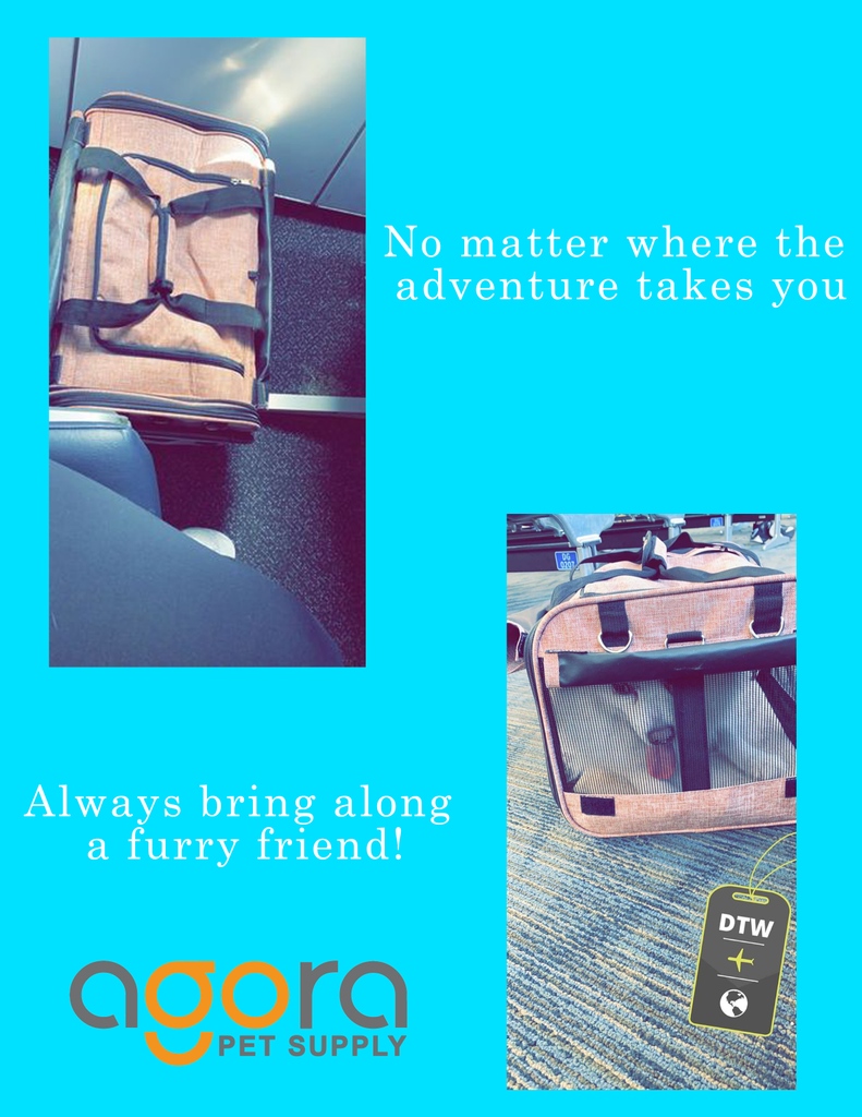 Agora Pet Supply provides you with the best products to bring along your travel buddies wherever your adventure may take you!

#dog #dogcollar #petsupplies #onthego #dogs #petstore #puppy
#puppies #petlover #petfriendly #cat #cats #dogsofinstagram
#catsofinstagram #petcarrier