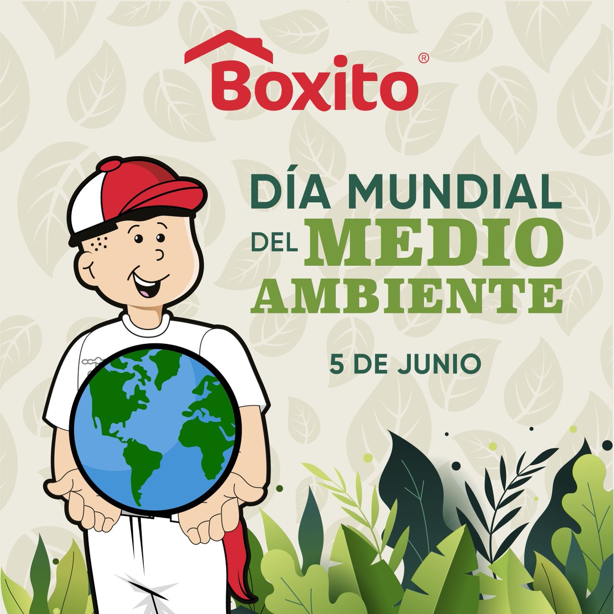 Grupo Boxito tweet media