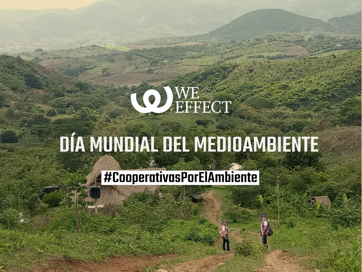WeEffectLA's tweet photo. #WeEffect #AmericaLatina está trazando el camino a un mundo justo y sostenible, libre de pobreza, con #CooperativasPorElAmbiente. 🌍 Las cooperativas están demostrando que la economía y la ecología pueden ir de la mano, contribuyendo significativamente a los #ODS. https://t.co/EQYlFpwtZn