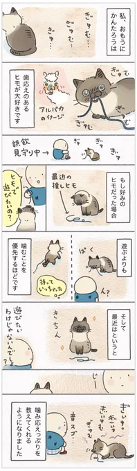 「歯応えがなかなか良いですなぁ」ヒモの魅力はじゃれるだけじゃない【連載】ねこ連れ草 281話め|ねこのきもちWEB MAGAZINE 