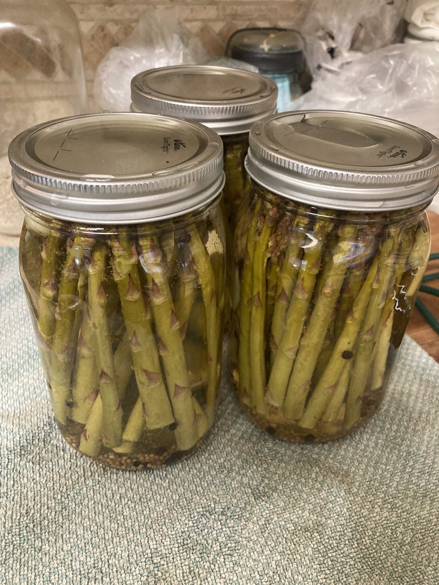 My pickled asparagus