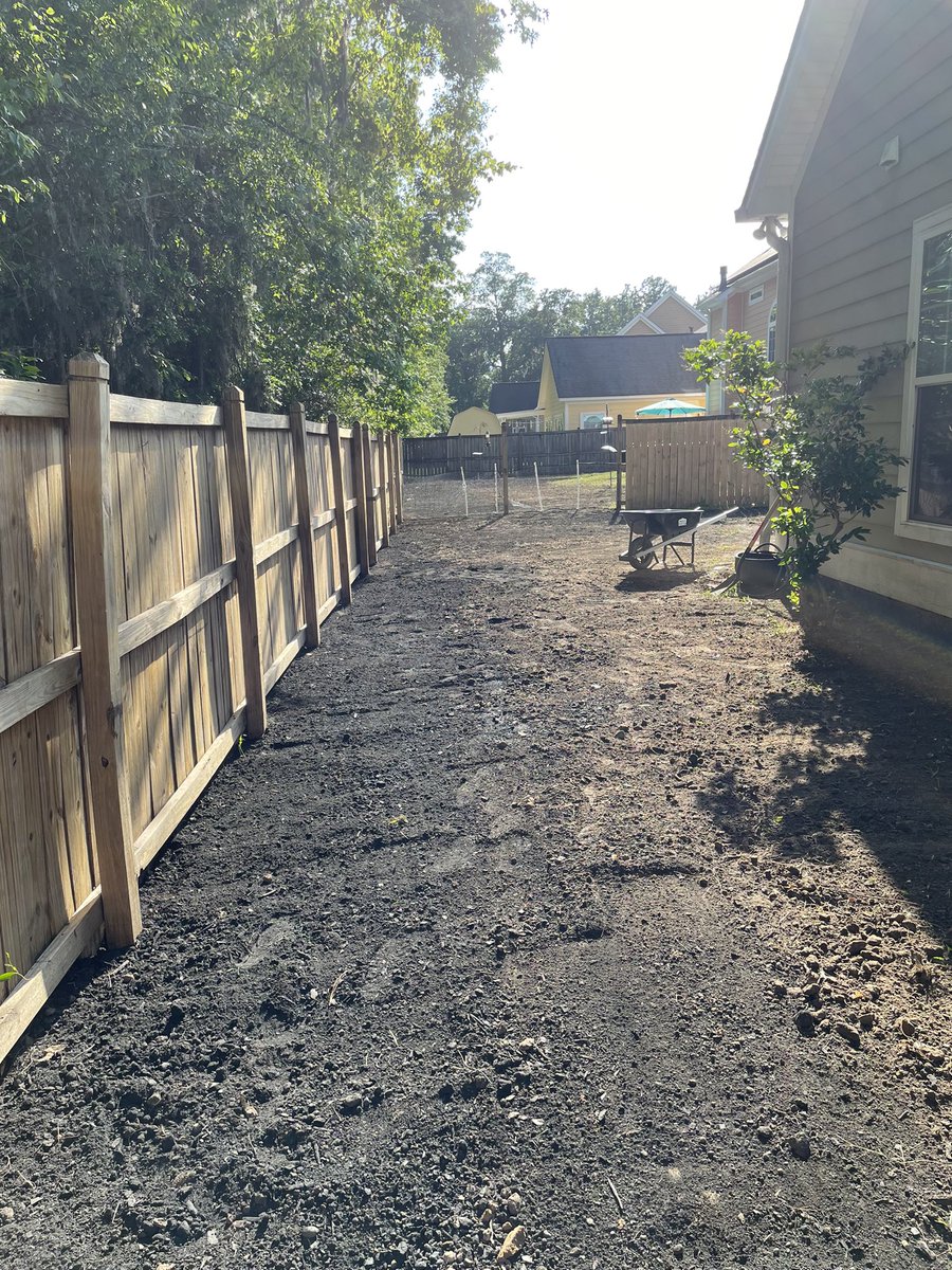LizzyGetsSilly's tweet photo. New backyard who dis 😍🥰 https://t.co/i5AaGcurFY
