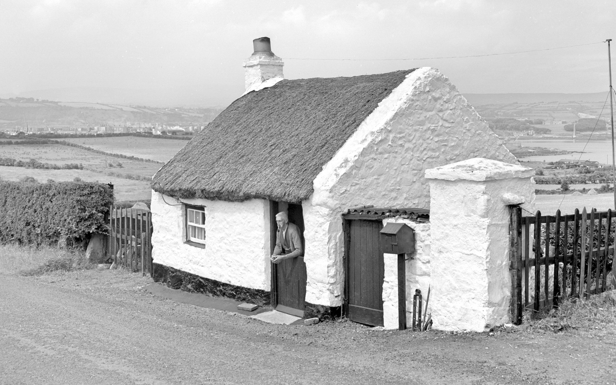 Hollow Cottage. Islandmagee, Co Antrim. 1959.  Thos Jas Montgomery at his home.                  (NITB)
facebook.com/profile.php?id…