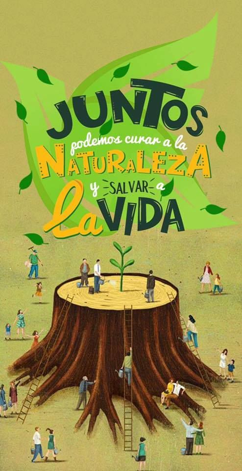 Día Mundial del Medio Ambiente
#IPUDubrocq
#EfeméridesDubrocq
<a href="/AbelVal19621299/">Abel Valenzuela Vizcaino</a> 
<a href="/FEEM_Cuba/">FEEM de Cuba ✌️🇨🇺</a> 
<a href="/FEEM_Matancera/">FEEM Matancera 📝🇨🇺💙</a>